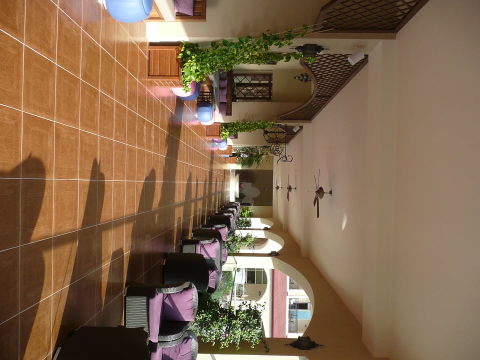 Shisha-Bar Paloma Oceana