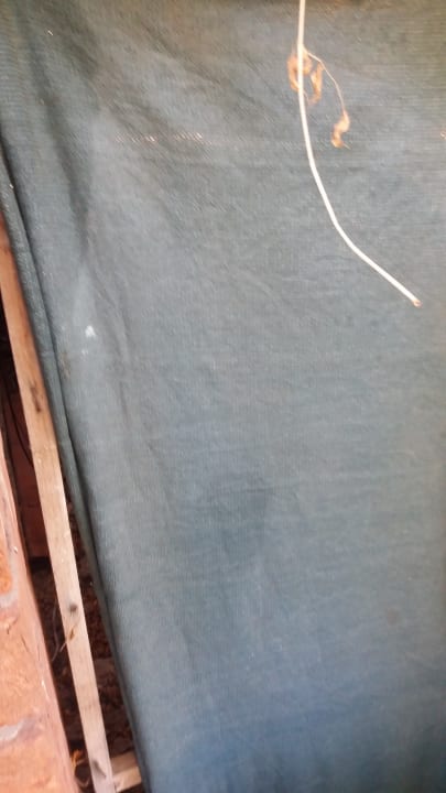 Zimmer Can Garden Beach