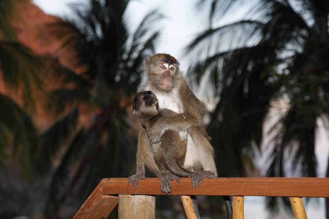 Sonstiges Sangat Island Dive Resort