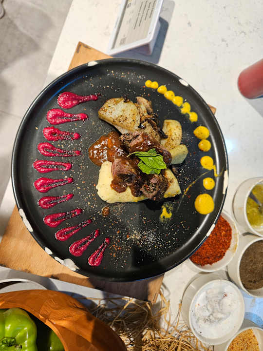 Gastro Seashell Vega