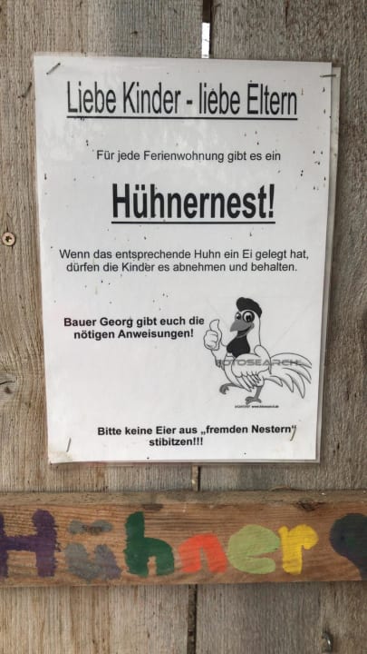 Sonstiges Haflingerhof Doll - Urlaub auf dem Bauernhof