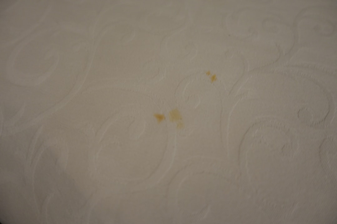 Zimmer Catalonia Royal La Romana - Adults only