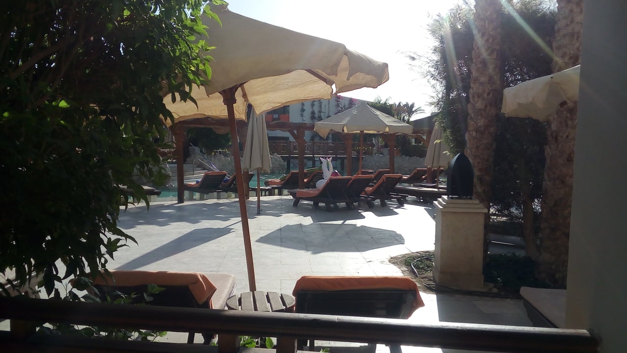 Pool Ghazala Gardens