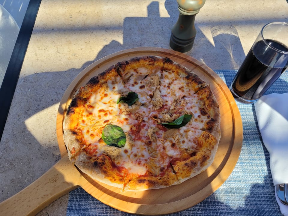 Gastro JAZ Elite Amara