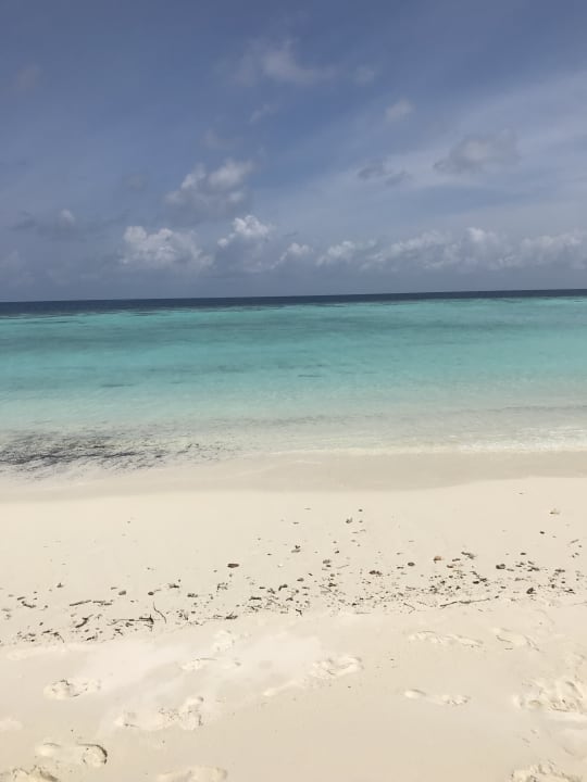 Ausblick Eri Maldives