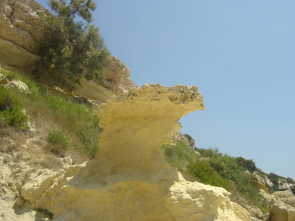 Natur Skulptur Camping Le Mas