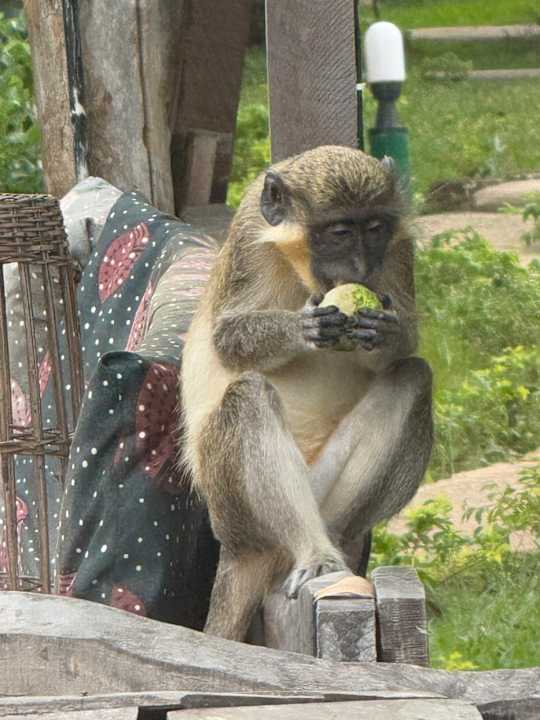 Gartenanlage AbCa's Creek Lodge