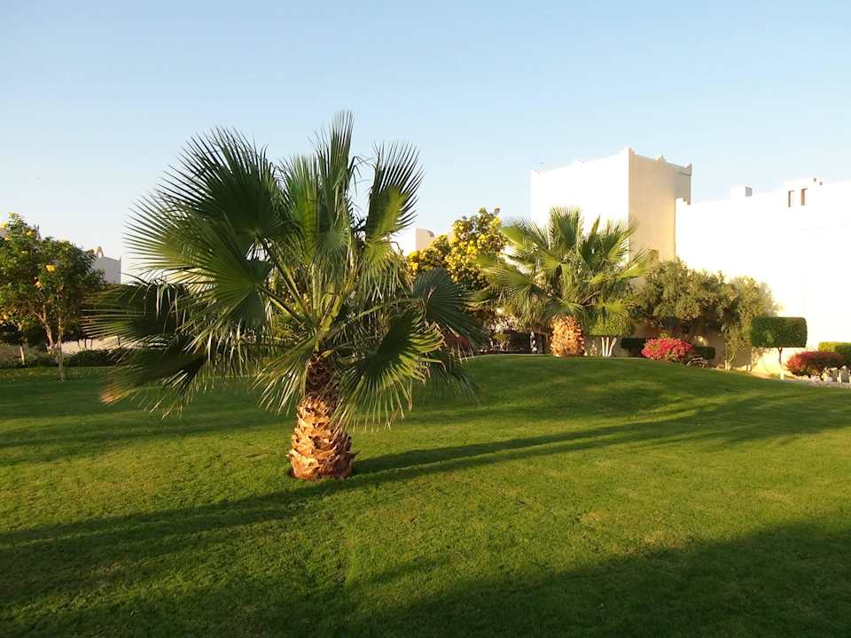 Ogród Three Corners Sea Beach Resort