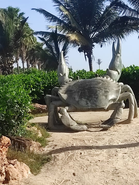 Gartenanlage Hotel Riu Funana