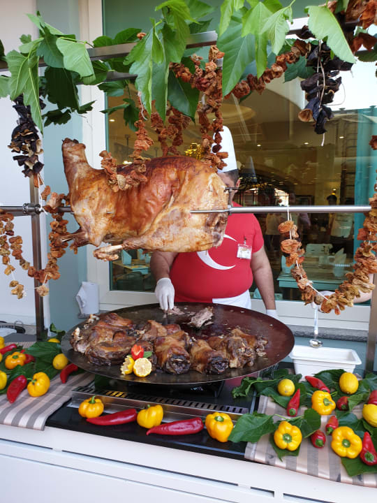 Gastro Hotel Delphin Imperial