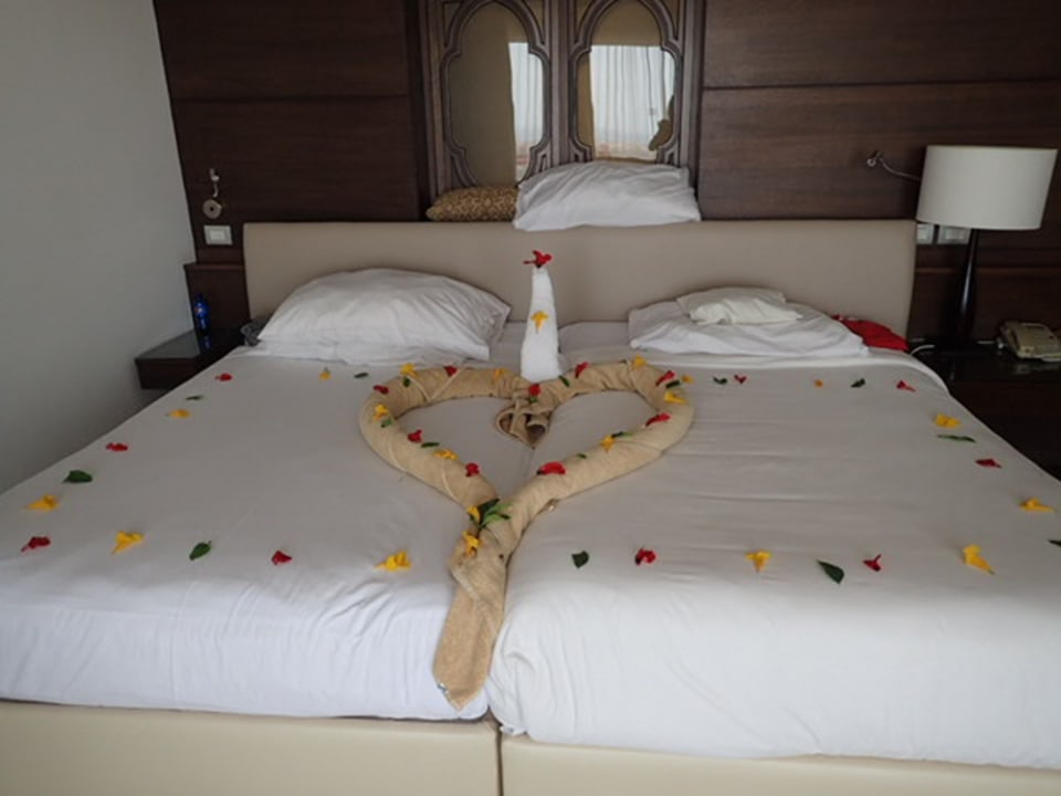 Zimmer Steigenberger Makadi Hotel - Adults only
