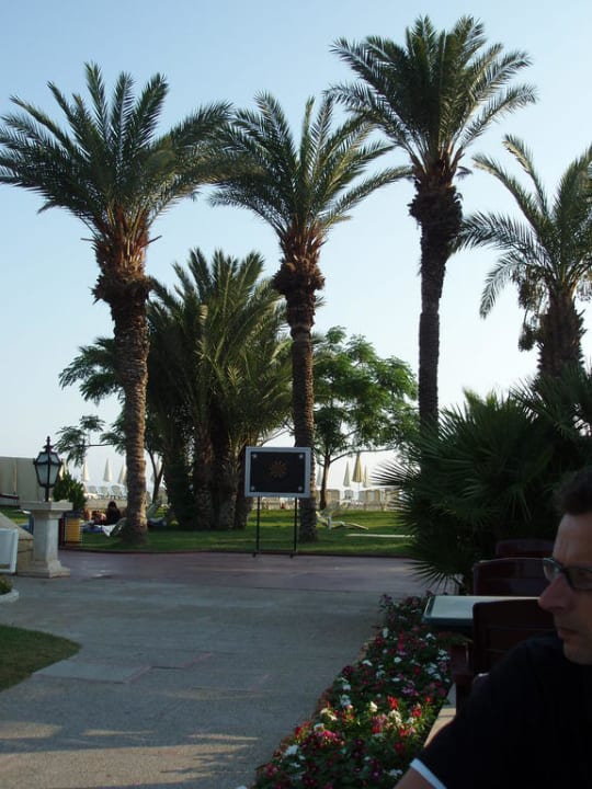 Ausblick Selale Bar  Labranda Alantur Resort