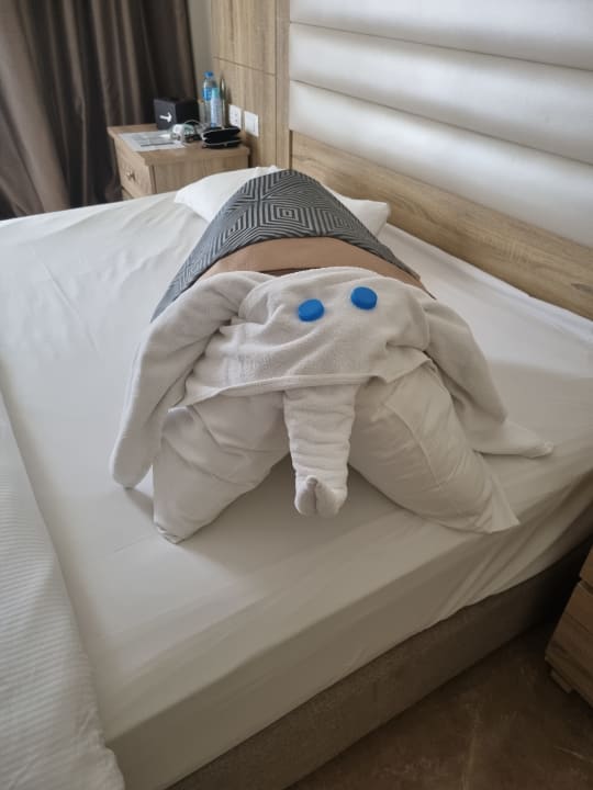 Zimmer Beach Albatros Resort