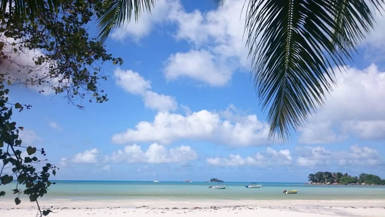 View from sunbed  Paradise Sun