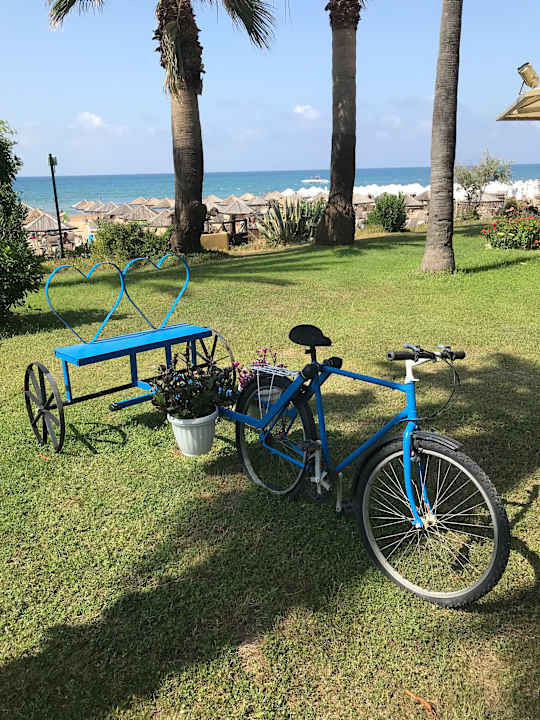 Gartenanlage Hotel Defne Garden