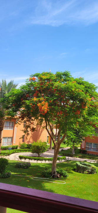 Gartenanlage Sentido Caribbean World Soma Bay