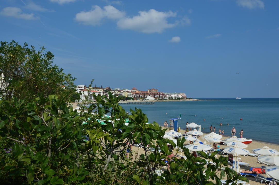 Widok z baru Paradise Beach Hotel