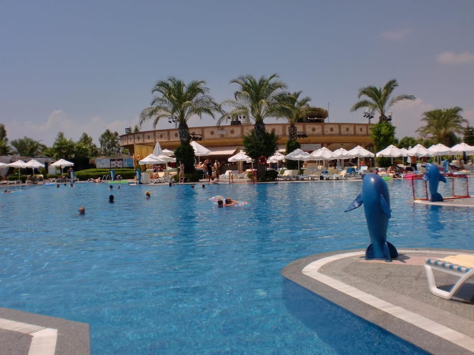Pool Hotel Delphin Palace