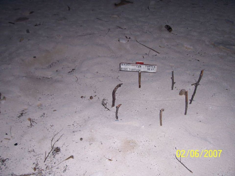 Turtle Nest Akumal Bay Beach & Wellness Resort