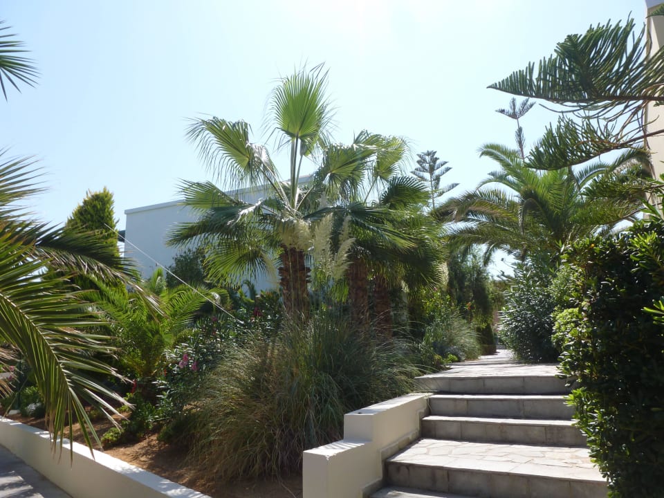 Ogród Iberostar Selection Creta Marine