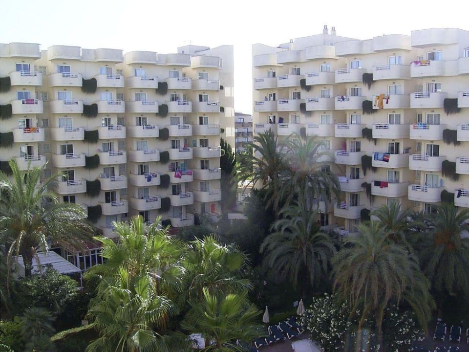 Blick aus dem Hotelzimmer Protur Palmeras Playa Aparthotel