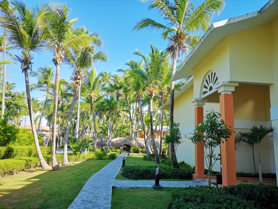 Gartenanlage Hotel Grand Palladium Palace Resort, Spa & Casino