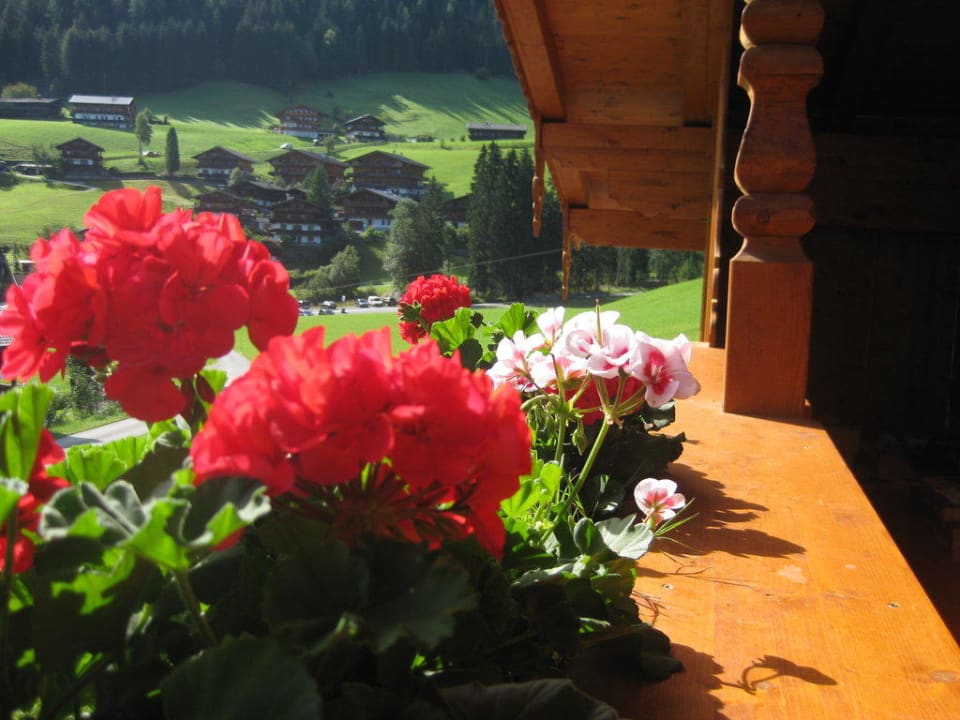 Balkonaussicht Apartment Familie Larch