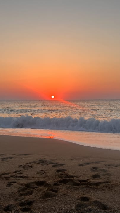 Strand GRIFID Vistamar