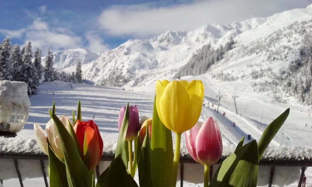 Ausblick Berghotel Hochfügen