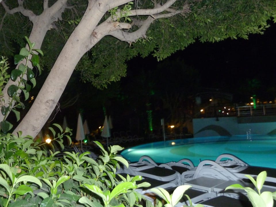 Pool bei Nacht Aydinbey Kings Palace & Spa