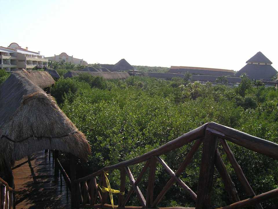 Welcome to the jungle Grand Palladium Select White Sand Resort & Spa