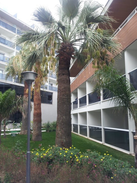 Schön grün  Palm Wings Kusadasi Beach Resort & Spa