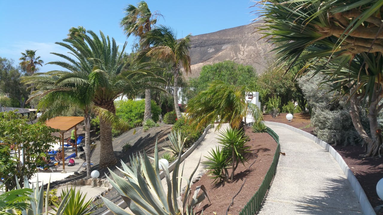 Gartenanlage allsun App.-Hotel Esquinzo Beach