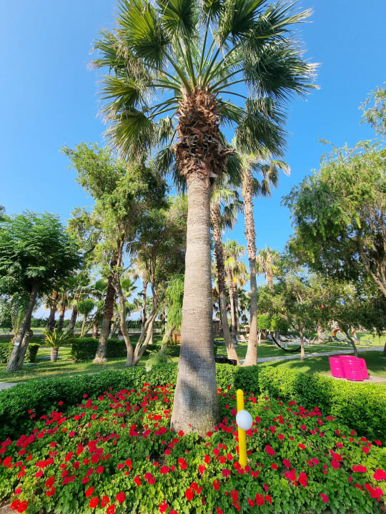 Gartenanlage VONRESORT Golden Coast