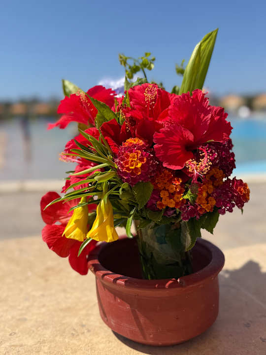 Außenansicht Pickalbatros Aqua Park Resort - Sharm El Sheikh