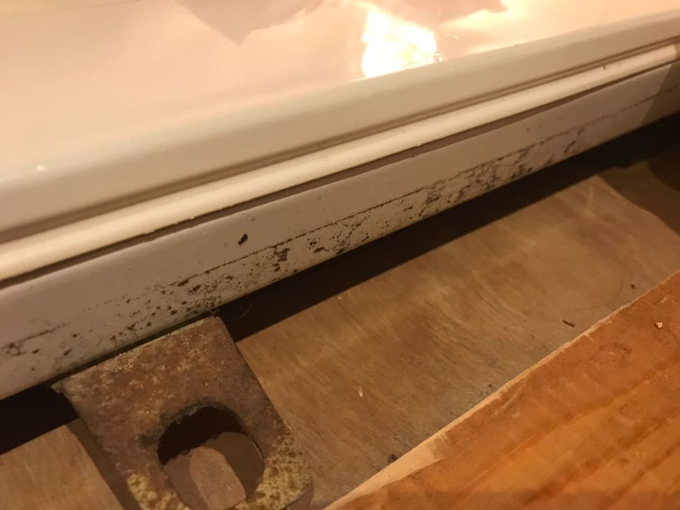 Zimmer Sea Star Beau Rivage