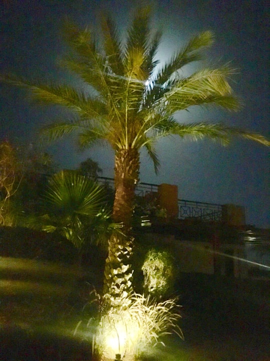 Gartenanlage Shams Prestige Abu Soma-Adults Only