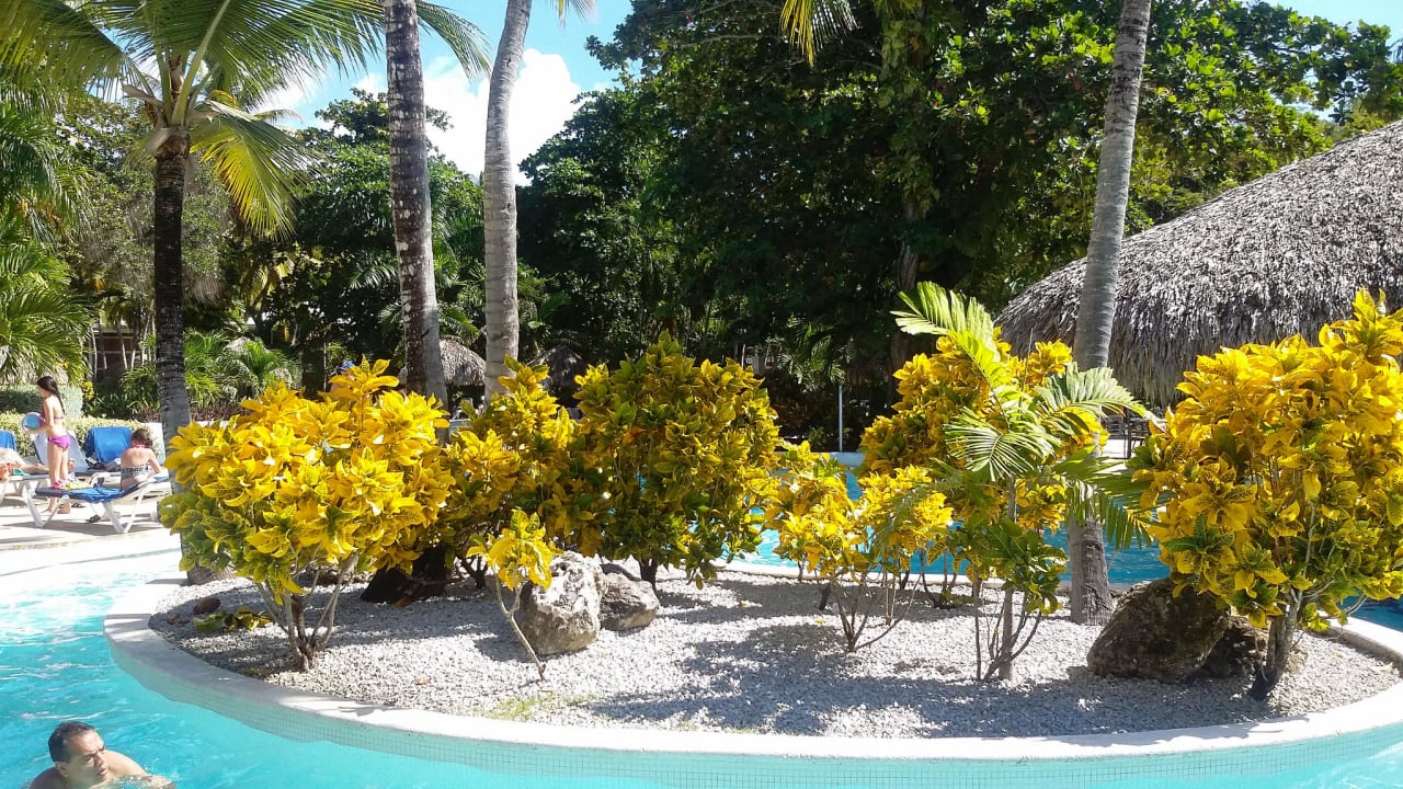 Poolblick Grand Palladium Select Bávaro Resort & Spa