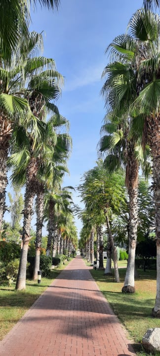 Gartenanlage Sunis Elita Beach Resort & Spa