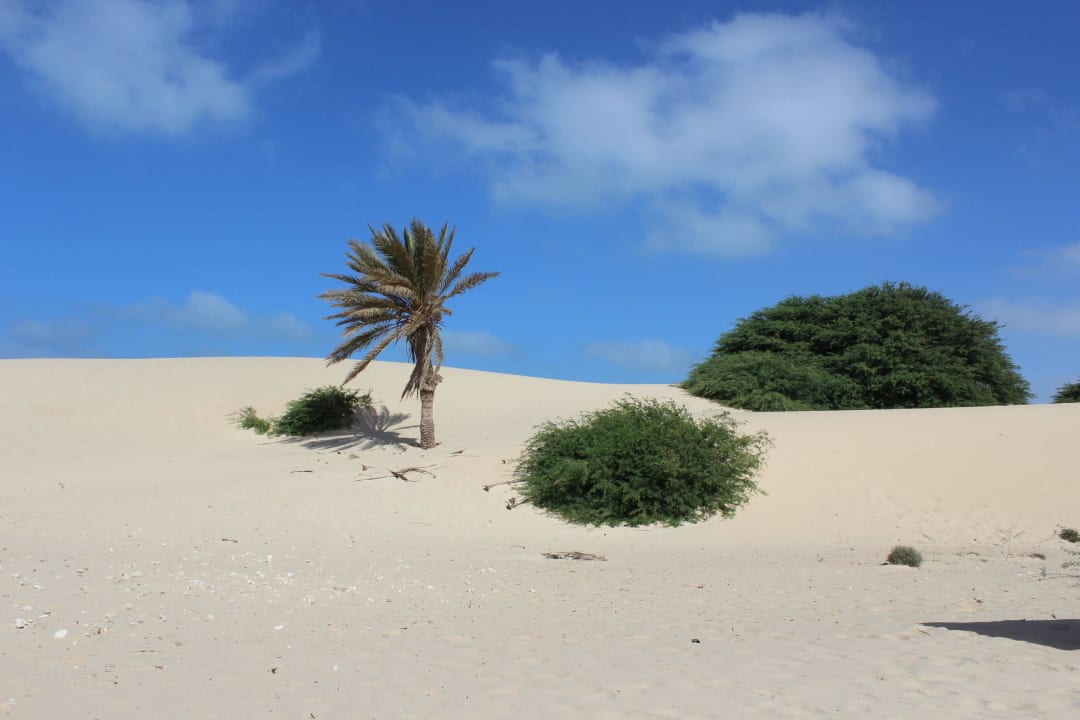 Strandspaziergang ... Hotel Riu Karamboa