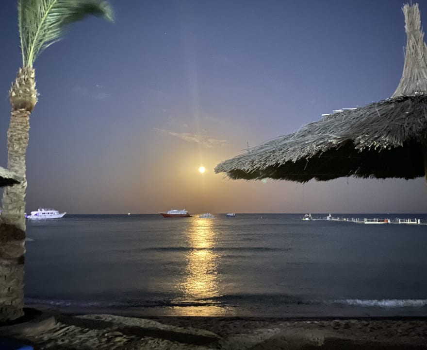 Strand Pickalbatros Palace Resort