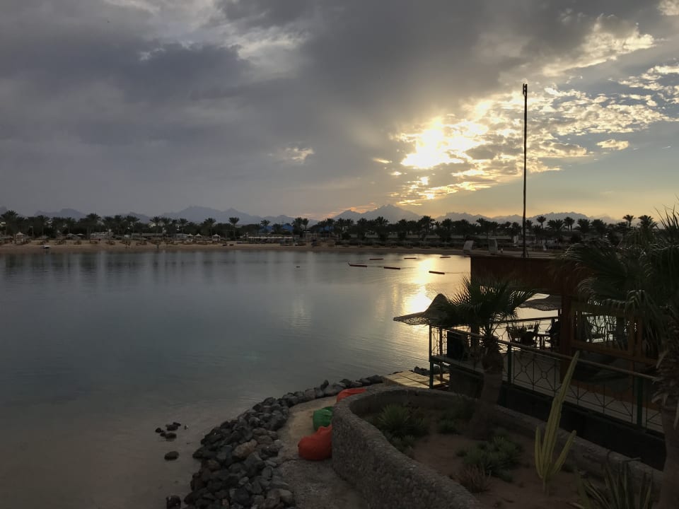 Ausblick Desert Rose