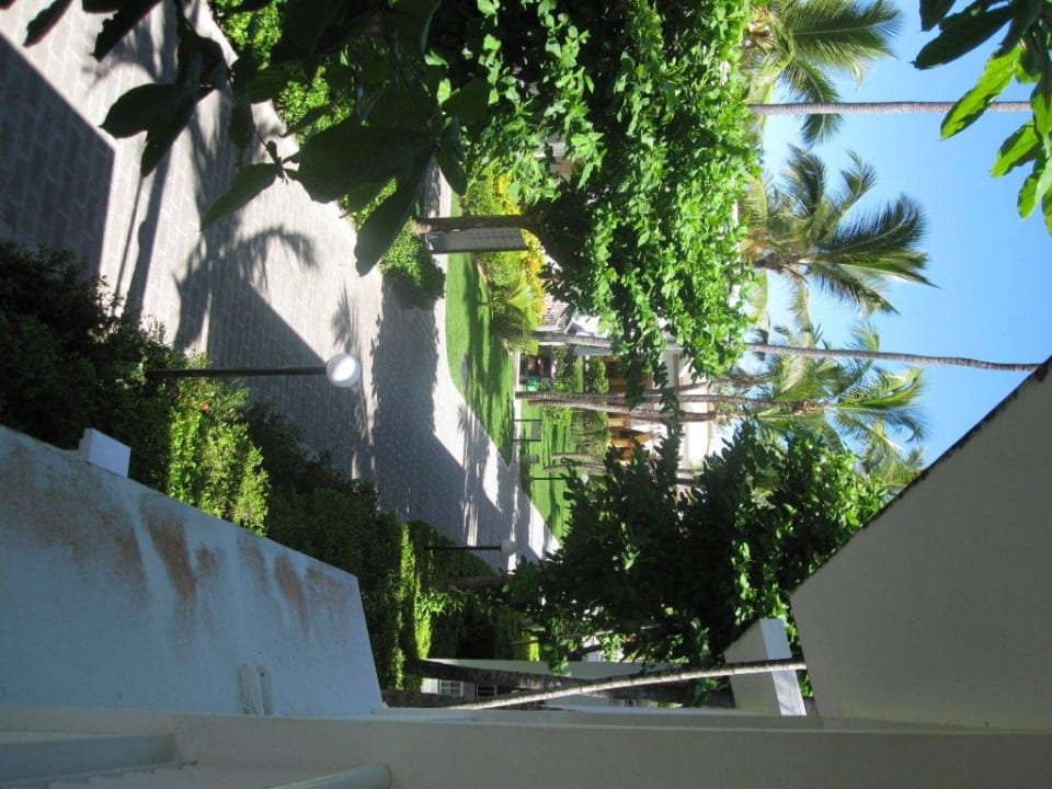 Vom Zimmer 0311 Hotel Riu Bambu