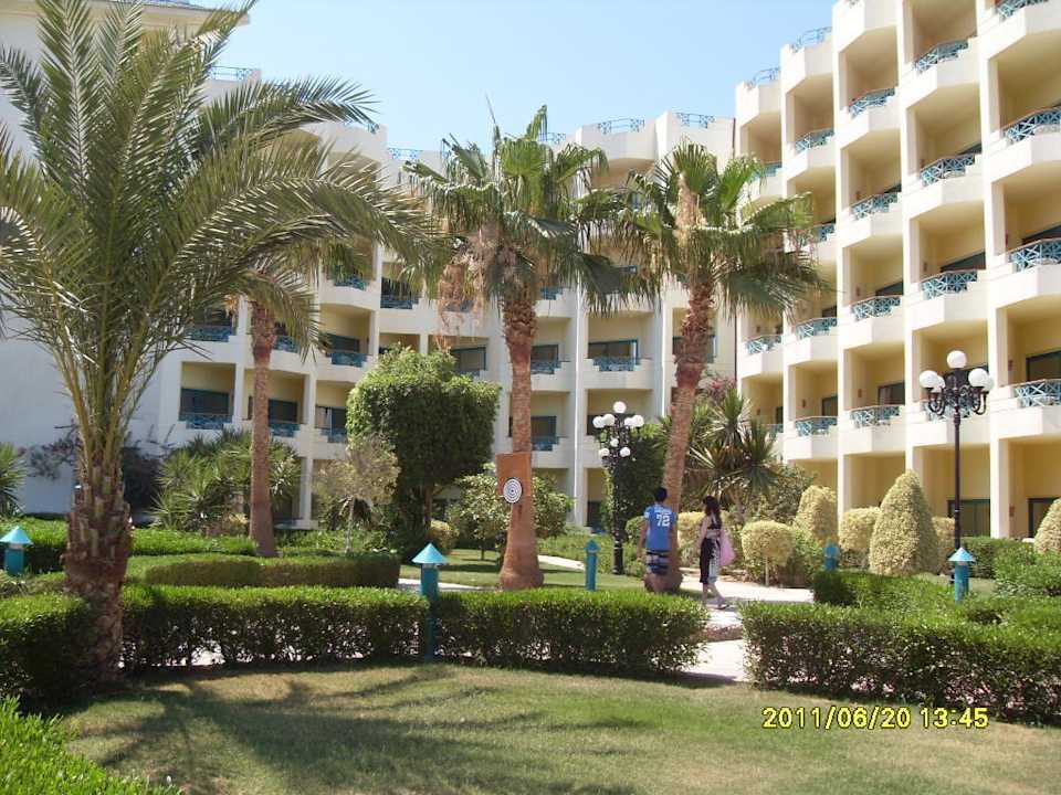 Zieleń Moreno Horizon Spa & Resort