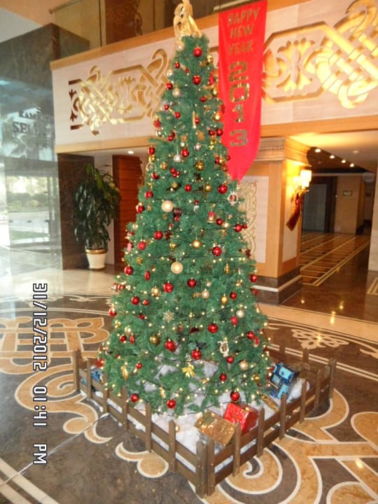 Im Eingangsbereich Kamelya Selin Hotel