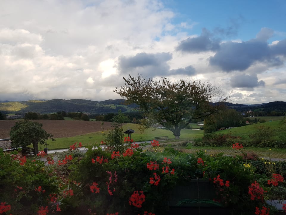 Ausblick Erlebnisbauernhof Frankl