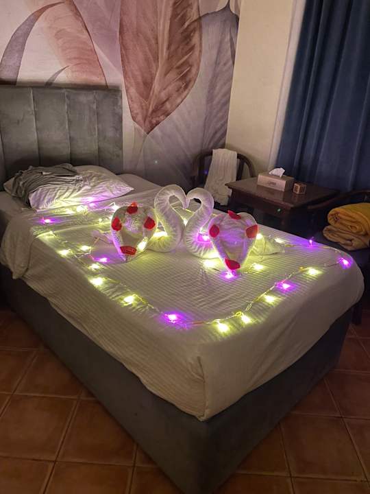 Zimmer Three Corners Sea Beach Resort