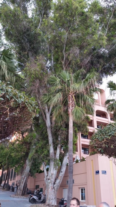 Blick aufs Hotel Hotel El Fuerte Marbella