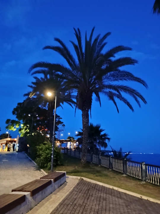 Strand Can Garden Beach