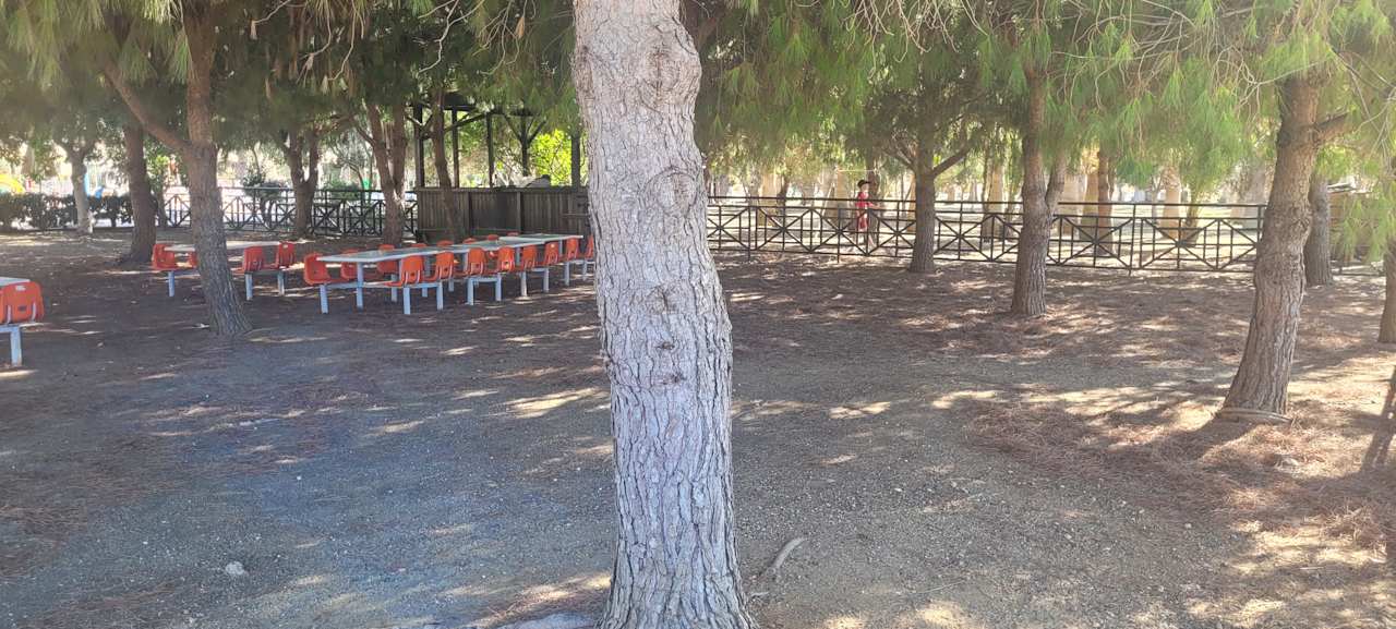 Sonstiges Seaden Sea World Resort & Spa